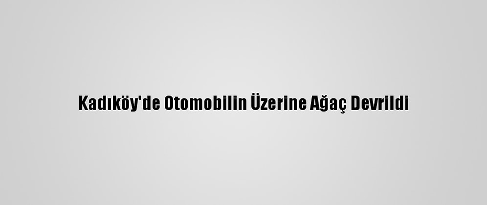 Kadıköy'de Otomobilin Üzerine Ağaç Devrildi