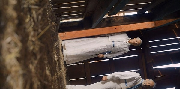 3. Глаза Пелле за сараем