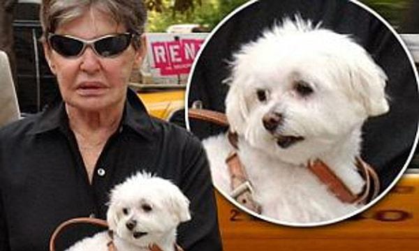 2007'de ölen ve vergi dolandırıcılığı yaptığı ortaya çıkan otel işletmecisi Leona Helmsley, köpeklerine 12 milyon dolar bırakmıştı.