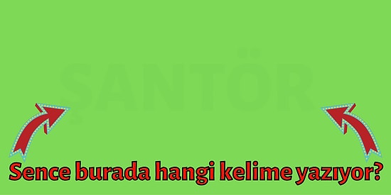 Sadece Yeşil Rengi Görebilen İnsanların Okuyabildiği Bu Kelimelerden Kaç Tanesini Bileceksin?