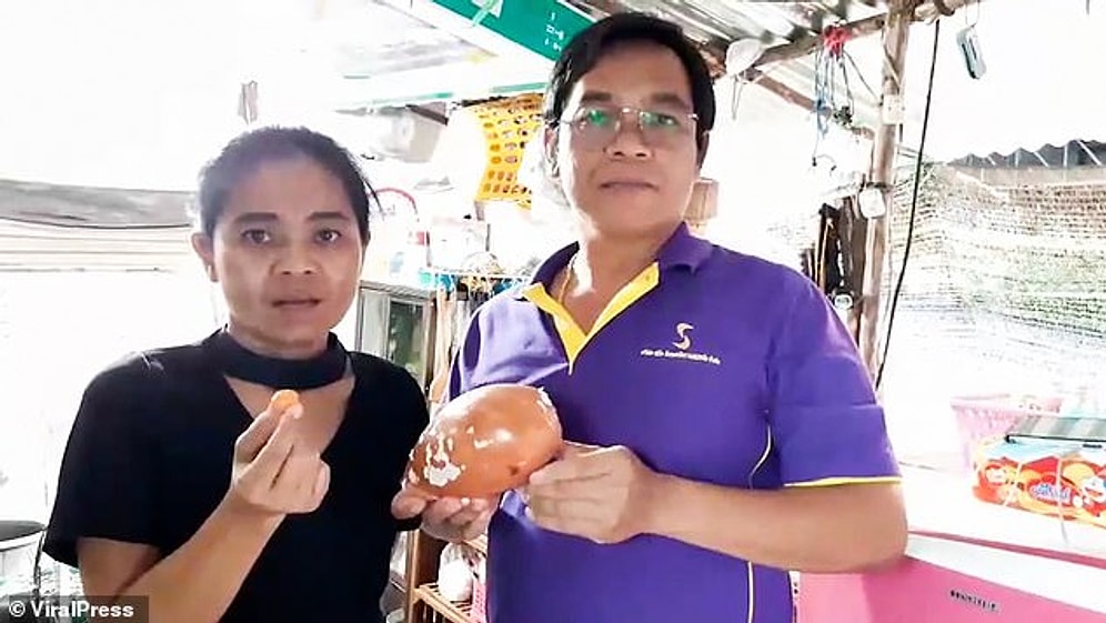 Водитель грузовика в Тайланде нашел редкую жемчужину Мело в морской улитке, которую купил на рынке для семейного обеда