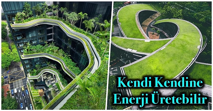 Tüm Malzemeleri Çevre Dostu Olacak Şekilde Seçilen İnsan Sağlığına Faydalı Yapı Sanatı: Yeşil Mimari