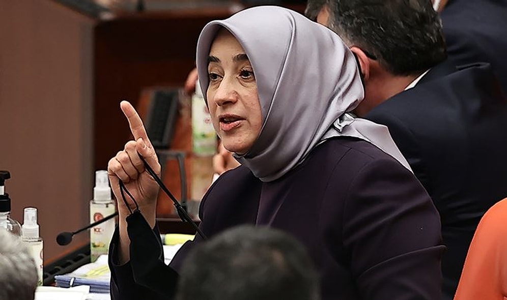 Çıplak Arama İddiası: 'Onurlu Kadın Bunu Söylemek İçin Beklemez' Diyen AKP'li Zengin 2017'de Ne Demişti?