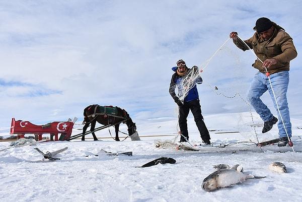 2. Donmuş Çıldır Gölü’nde Eskimo usulü balık avı