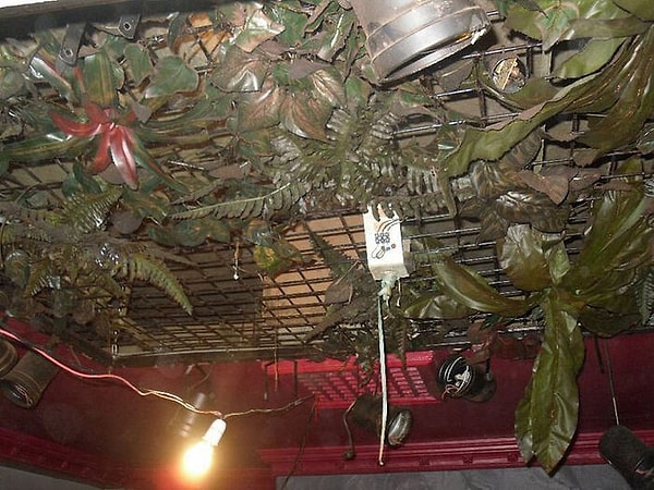 С момента его закрытия в 1993 году несколько разработчиков приходили, чтобы проверить его, но в конечном итоге отказались от работы - цена была слишком высока для них.