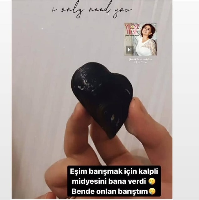 13. Barışmaya bahane arıyorumdur.