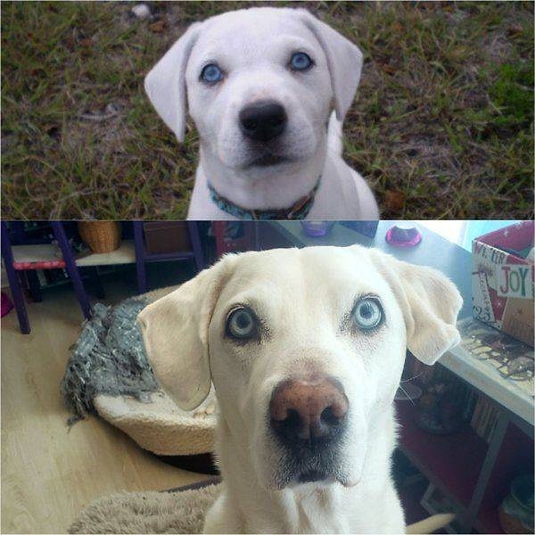 8. Эти бездонные глаза...