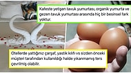 Yaptıkları İşle İlgili Meslek Sırlarını İfşa Ederken 'Nasıl Ayakta Uyutulmuşuz' Aydınlanması Yaşatan 17 Kişi