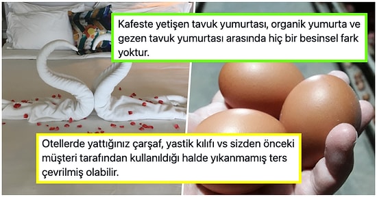 Yaptıkları İşle İlgili Meslek Sırlarını İfşa Ederken 'Nasıl Ayakta Uyutulmuşuz' Aydınlanması Yaşatan 17 Kişi