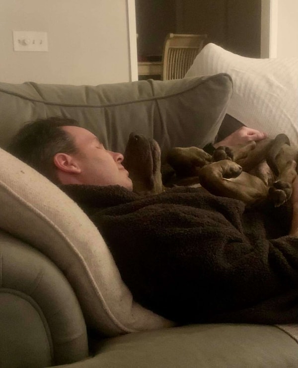 2. Семье Тафт потребовались месяцы, чтобы помочь Ремусу справиться со страхом, тревогой и агрессией по отношению к другим собакам.