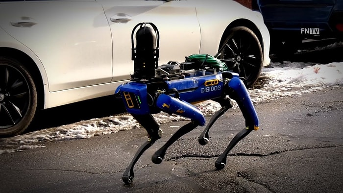 New York'ta Polis, Robot Köpeklerden Faydalanmaya Başladı