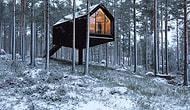 Финские архитекторы спроектировали "одноногий дом" в лесу, вдохновившись традиционными хижинами для хранения продуктов в безопасном месте от медведей