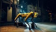 Теперь собака-робот Spot от Boston Dynamics умеет не только танцевать, но и открывать двери, садовничать и даже помогать со стиркой!