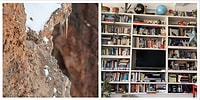 Даже мы не можем найти животных на этих 6-ти реальных фотографиях. А вам по зубам?