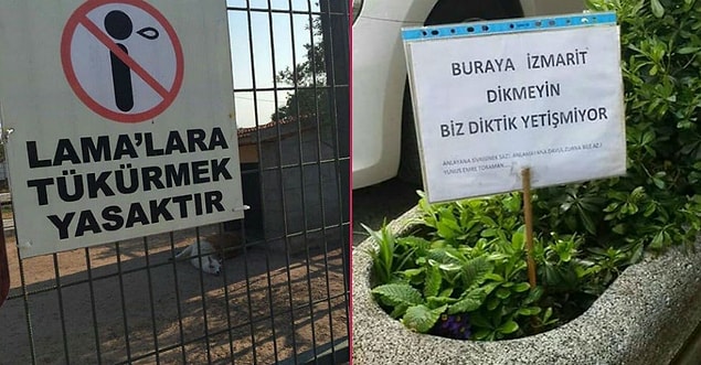 Peki Türkiye'nin IQ ortalaması ne?
