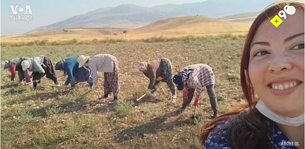 Aynur Ece'nin susuz tarım projesi için çalışanlarının % 95'i 18-76 yaş arası kadınlardan oluşuyor.