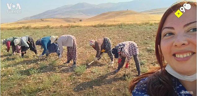 Aynur Ece'nin susuz tarım projesi için çalışanlarının % 95'i 18-76 yaş arası kadınlardan oluşuyor.