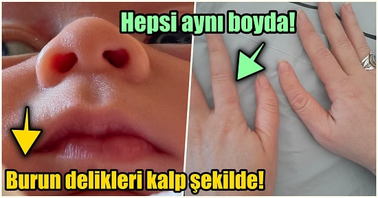 Hep Aynı Şeyleri Görmekten Sıkılanları İlginçliğe Doyuracak Birbirinden Acayip 17 Yeni Görsel