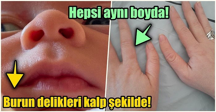 Hep Aynı Şeyleri Görmekten Sıkılanları İlginçliğe Doyuracak Birbirinden Acayip 17 Yeni Görsel