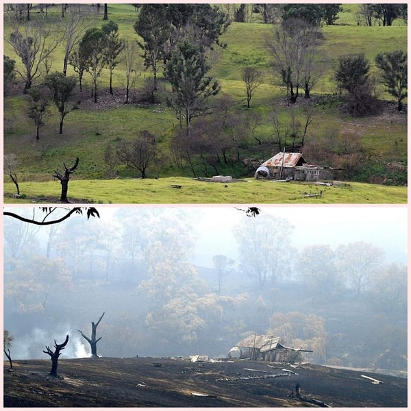 10. Uzun süren kuraklık ve aşırı sıcaklık, Avustralya’nın yangın sezonunu da körüklemiş.