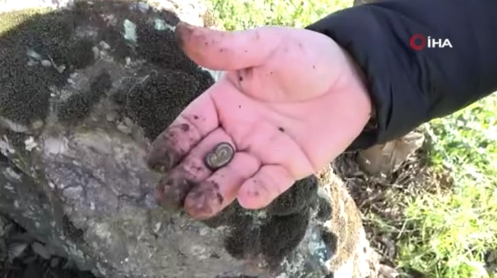 Bursa'nın İlginç 'Ebe Kaya' Geleneği: Kayanın Altından Çıkan Böcekleri Yutuyorlar