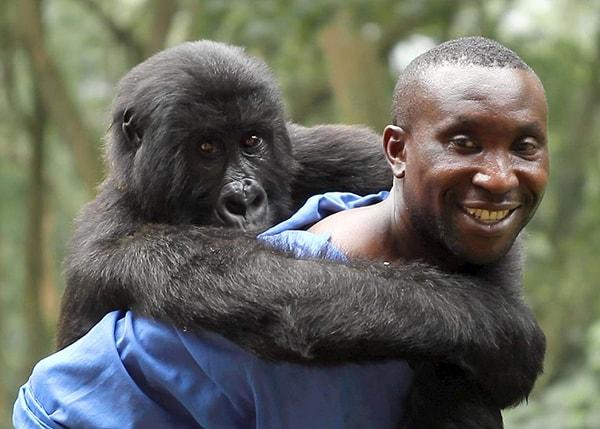 28. Virunga (2014)