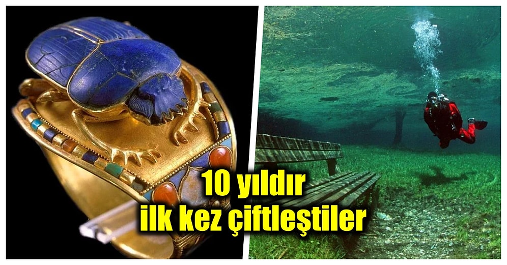 Okurken Şaşkına Dönmenize Neden Olacak Muhtemelen Daha Önce Hiç Duymadığınız Birbirinden İlginç 23 Bilgi