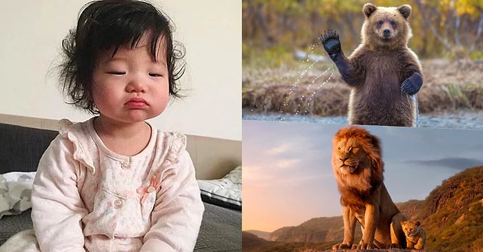 Sen Hangi Uyku Kronotipisin?