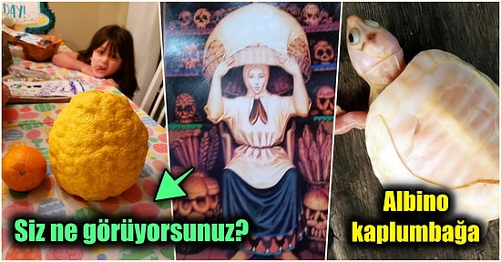 Hep Aynı Şeyleri Görmekten Sıkılanları İlginçliğe Doyuracak Birbirinden Acayip 17 Yeni Görsel