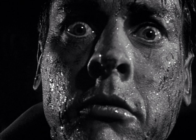 36. Invasion of the Body Snatchers (1978):