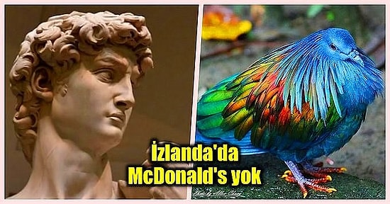 Öğrendiğinizde Dünyaya Olan Bakış Açınızı Değiştirecek Birbirinden Şok Edici 23 İlginç Bilgi