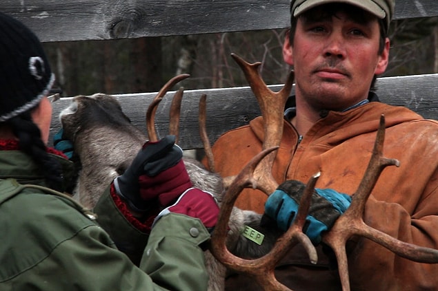 75. Aatsinki: The Story of Arctic Cowboys (2013)