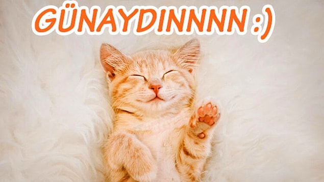 En Yeni Günaydın Mesajları