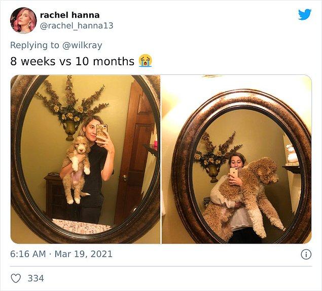 14. "8 haftalık ve 10 aylık"