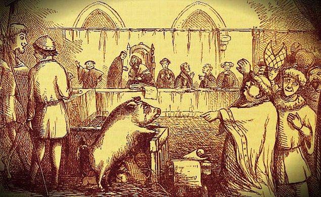 2. 1386 yılında bir çocuğa saldıran ve ölümüne sebep olan domuz idam cezasına çarptırılmıştır.
