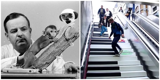 Kendi Kafanızın İçindekilerden Şüphe Etmenize Yol Açacak 24 Akılalmaz Psikoloji Testi