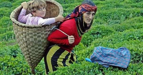 $total sorudan $score tanesini doğru bildin!