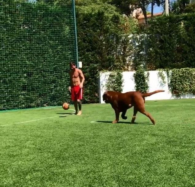 Messi, Fransız Mastiff cinsi köpeği Hulk'la beraber evin bahçesinde sık sık futbol oynuyor.