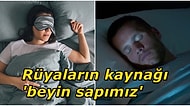 Biz Uyusak da O Uyumuyor! Rüya Gördüğümüz Esnada Beynimizde Neler Oluyor?