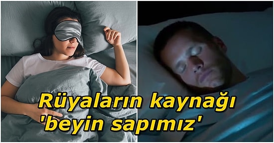 Biz Uyusak da O Uyumuyor! Rüya Gördüğümüz Esnada Beynimizde Neler Oluyor?