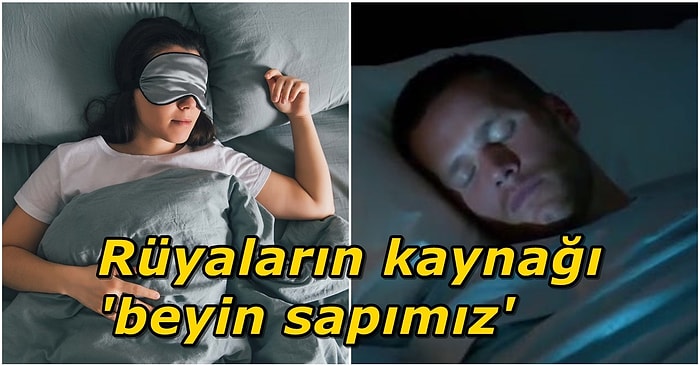 Biz Uyusak da O Uyumuyor! Rüya Gördüğümüz Esnada Beynimizde Neler Oluyor?