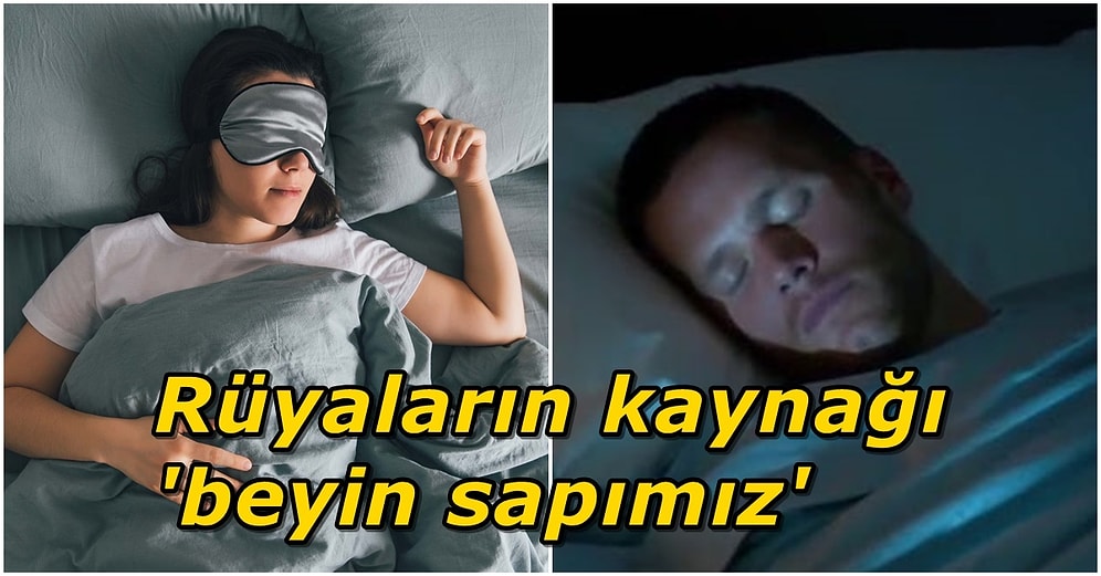 Biz Uyusak da O Uyumuyor! Rüya Gördüğümüz Esnada Beynimizde Neler Oluyor?