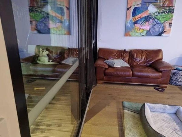 12. "Моя собака обожает там сидеть, но...сейчас ее там нет :)".