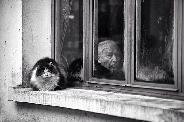 2. Спокойствие..