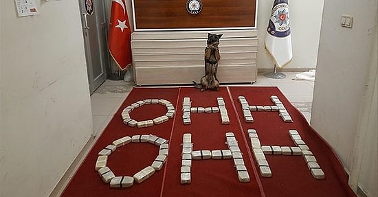 “Ohh… Ohh…”un Karşılığı Berlin Görevi Oldu