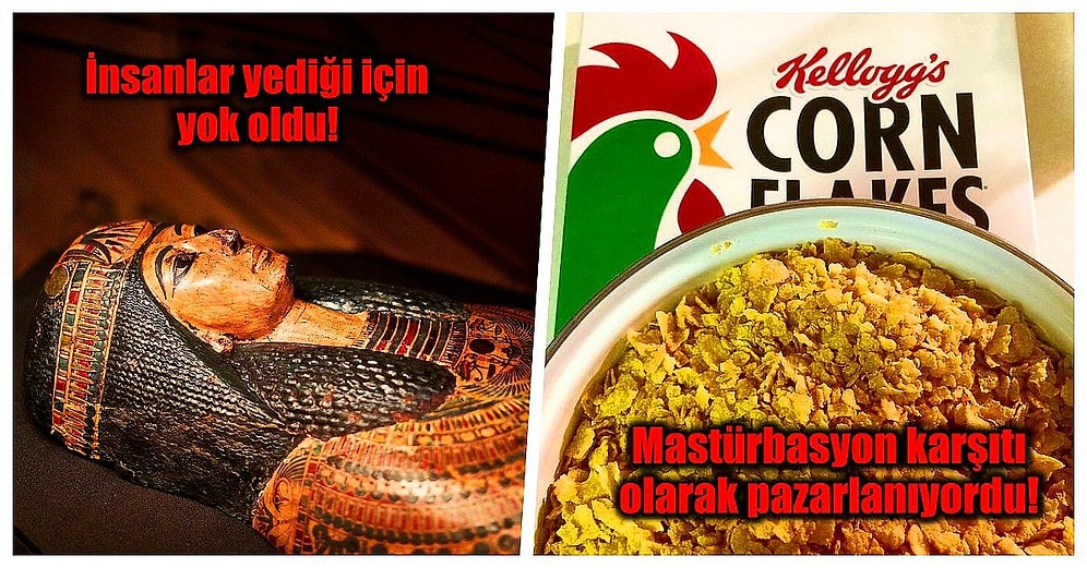 Öğrendiğinizde Tarihe Olan Bakış Açınızı Değiştirmekle Kalmayıp Aklınızı Başınızdan Alacak 24 Bilgi