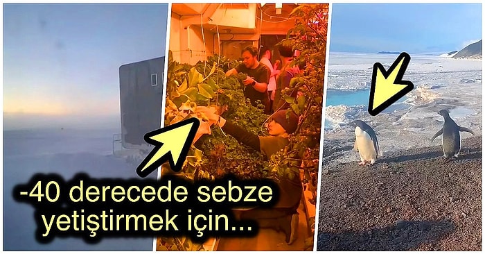 Antarktika’da Yaşamanın Ne Kadar Zor Olduğunu Paylaştığı Videolarla Gözler Önüne Seren TikToker