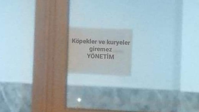 "Çabuk çık, fazla oyalanma, asansör kullanma"