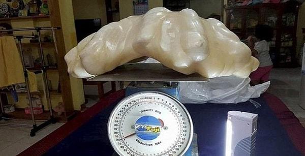 3. Bu 34 kilogramlık "Puerto Princesa'nın İncisi" dünyanın keşfedilmiş en büyük incisidir.