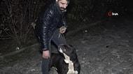 Ormanlık Alandan Tecavüz Girişimine Uğrayan Kadını Köpek Kurtardı